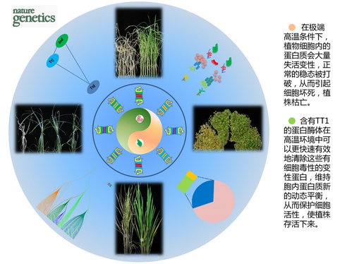 净信用户中科院上海生科院植生所科研人员又取